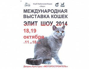 В Уфе пройдет выставка кошек необычных пород «Элит шоу-2014»