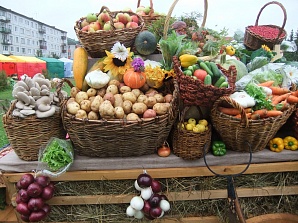16 и 17 сентября в Уфе пройдут сельскохозяйственные ярмарки