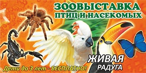 В Национальном музее Башкортостана пройдет зоовыставка «Живая радуга»